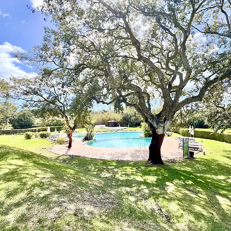 Balaia Golf Vilage 7 With Pool By Homing Albufeira